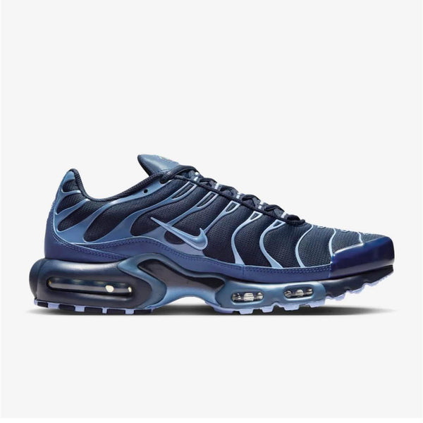 Air Max Plus 'Obsidian Aluminum'