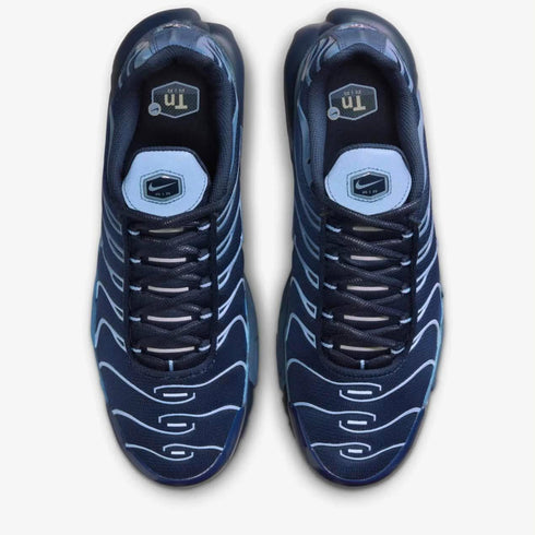 Air Max Plus 'Obsidian Aluminum'